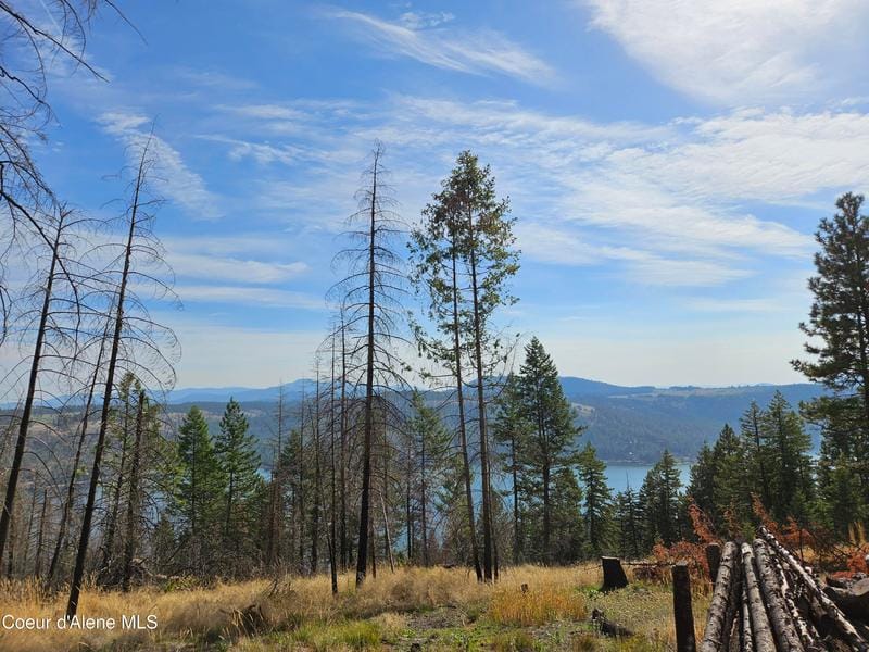 Nka South Bella Vista Road, Worley, ID 83876 for Sale