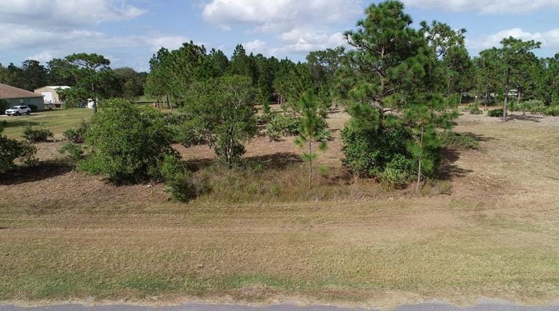 19353 Reynolds Pkwy, Orlando, FL 32833 - MLS O6122754 for Sale