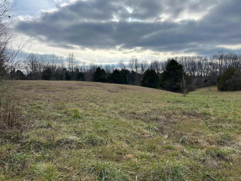 TRACT 4-4 RALEIGH WILSON ROAD, Bowling Green, KY 42101 Land For Sale  MLS# RA20240069