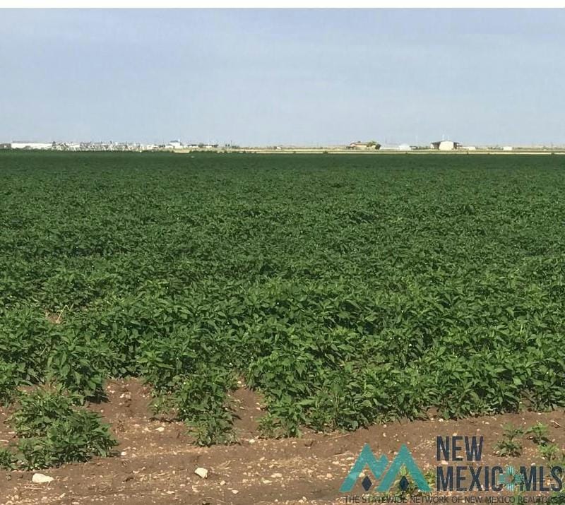 CORNER OF SE PAWNEE ST AND N WORLD DRIVE, Hobbs, NM 88242 Farm For Sale  MLS# 20233729