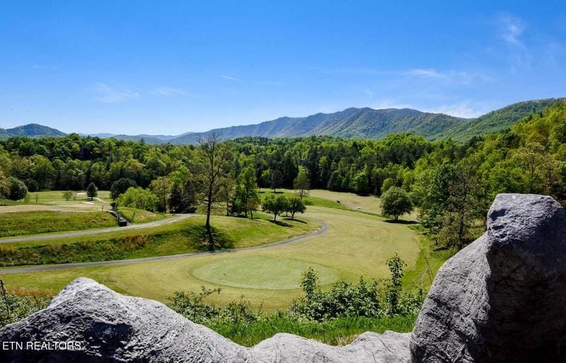 742 Hunters Run Rd, Townsend, TN 37882  607316699 for Sale