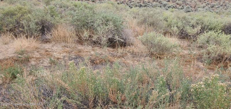 La Plata, San Juan County, NM Undeveloped Land, Homesites for sale Property ID: 418198181