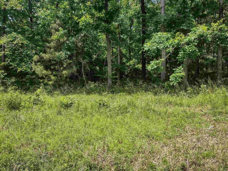 LOT 3305 OHIO DRIVE, Hot Springs, AR 71913 Land For Sale  MLS# 23036851