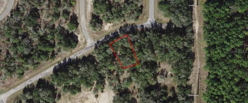 1562 West Delmane Drive, Citrus Springs, FL 34434 for Sale