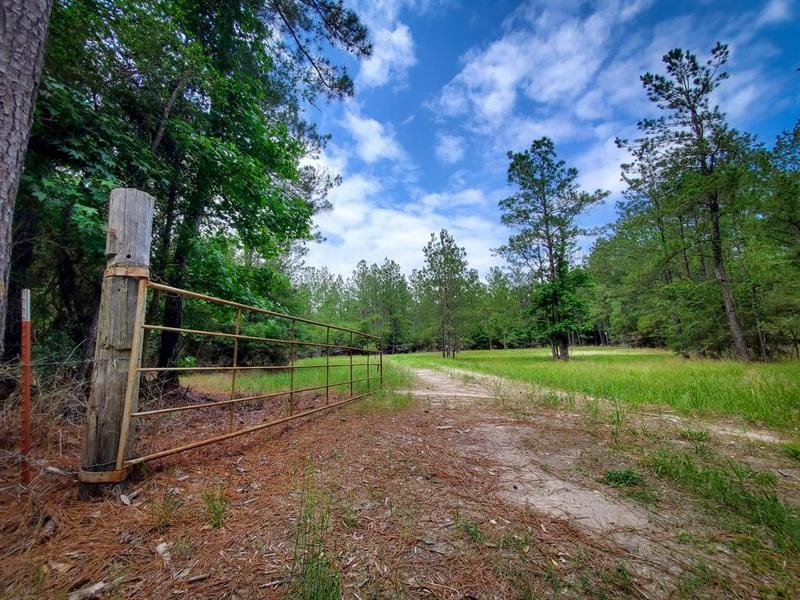 NA N Farm Road 350 Off, Livingston, TX 77351 for Sale