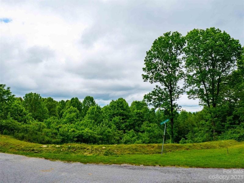 252 Pinewood Circle, Laurel Park, NC 28739 for Sale