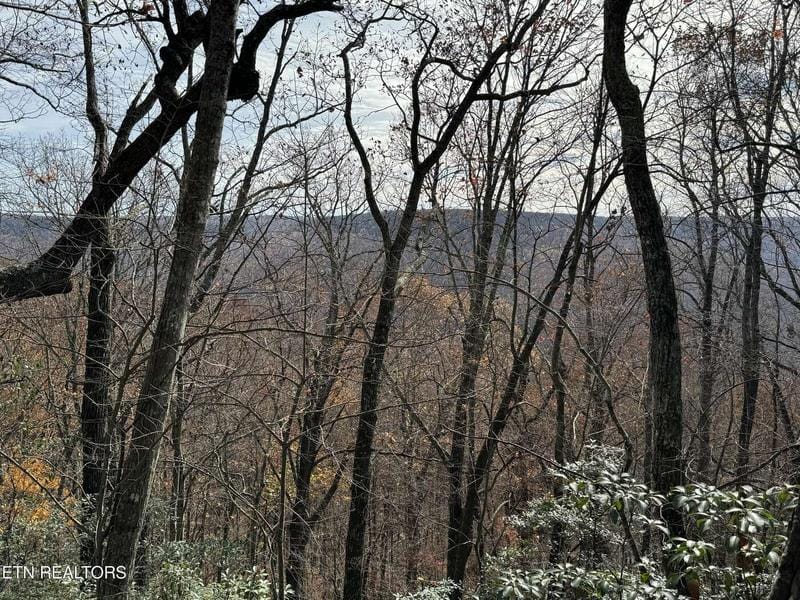 Cumberland Cove Rd, Monterey, TN 38574  608487286 for Sale