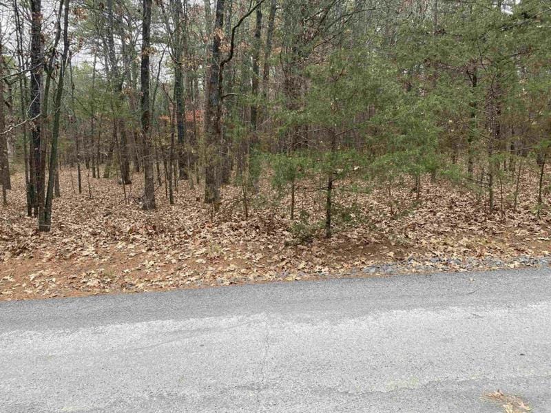 109 TANNENBAUM RD, Drasco, AR 72530 Land For Sale  MLS# 23039292