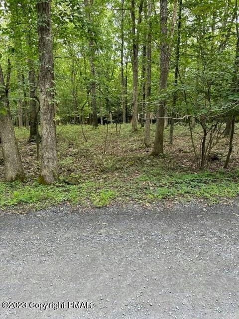 RED FOX TRAIL, East Stroudsburg, PA 18302 Land For Sale  MLS# PM-109047
