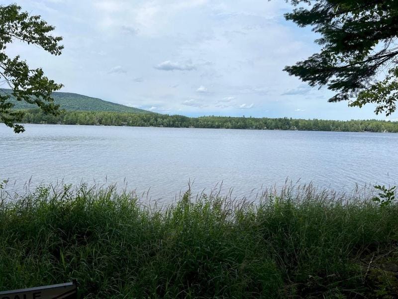 Abbot, Piscataquis County, ME Undeveloped Land, Lakefront Property, Waterfront Property, Homesites for sale Property ID: