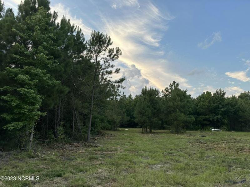 NEAR 1669 KLONperson ROAD, Chadbourn, NC 28431 Land For Sale  MLS# 100389108