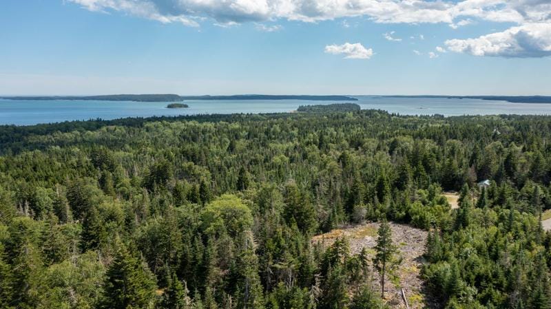 0 Nepp Point Road, Unit 63E, Roque Bluffs, ME 04654 for Sale