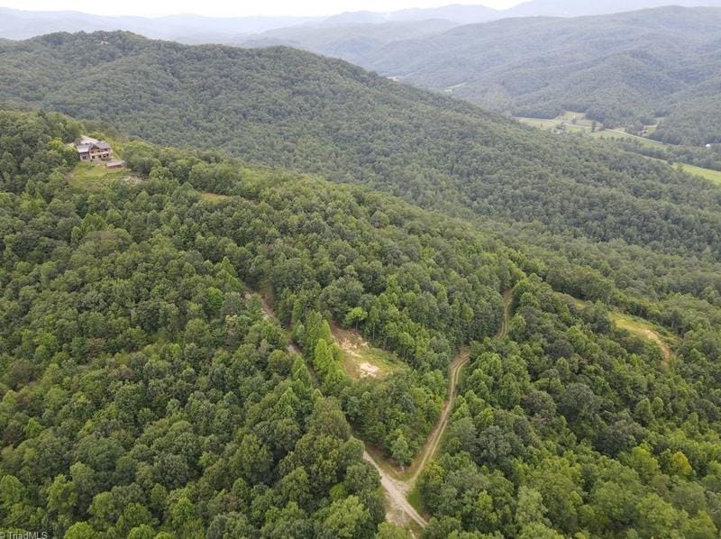 Tbd Elk Horn Rd, Ferguson, NC 28624 - MLS 1113618 for Sale