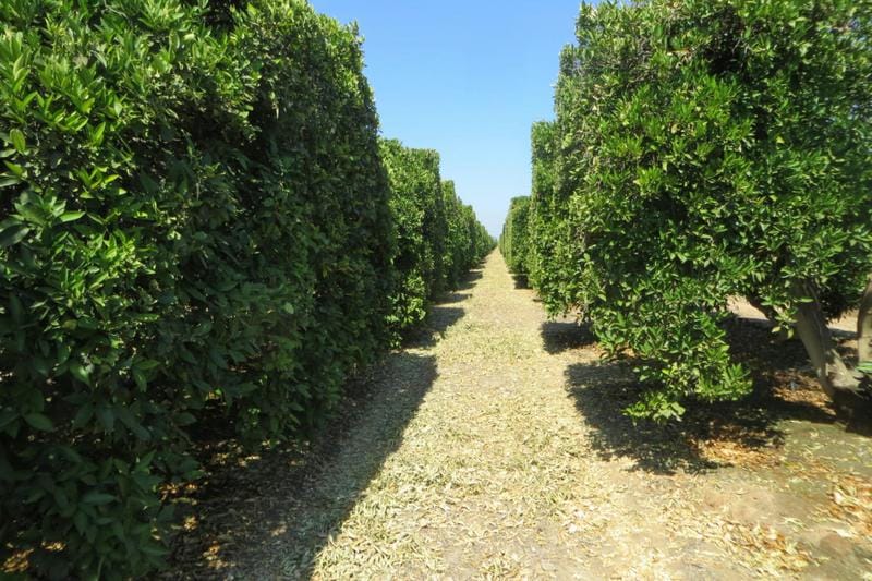 0 ROUTE 65, Exeter, CA 93221 Land For Sale  MLS# 224386