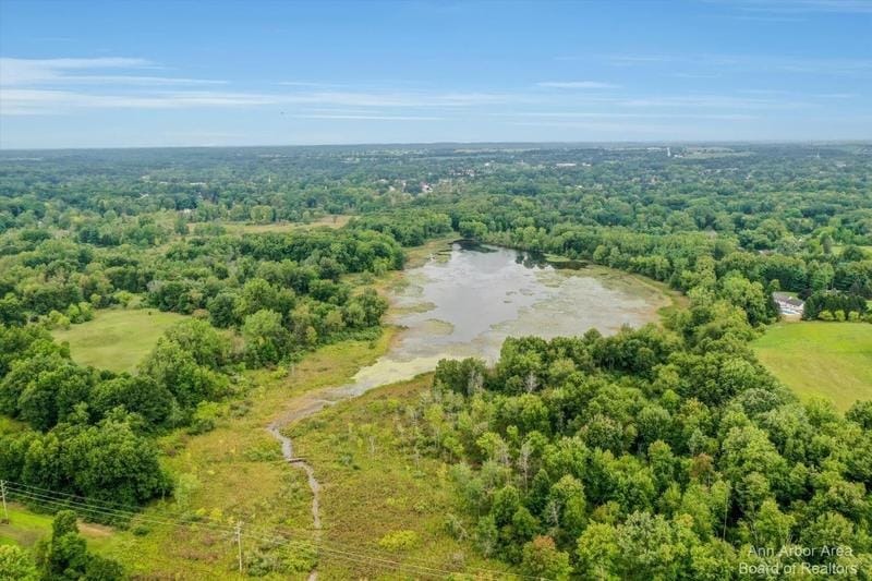 Manchester, Washtenaw County, MI Undeveloped Land, Lakefront Property, Waterfront Property for sale Property ID: 418490543