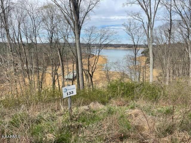 LOT 133 W POINT DRIVE, Dandridge, TN 37725 Land For Sale  MLS# 1221517 for Rent