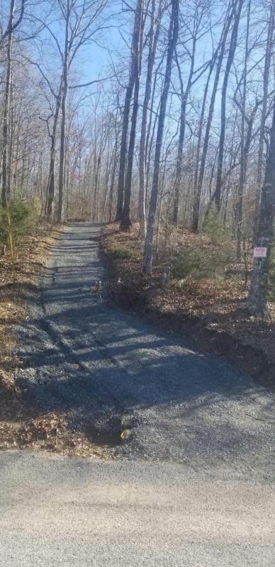 0 COUNTY ROAD 179, Decatur, TN 37322 Land For Sale  MLS# 1385194