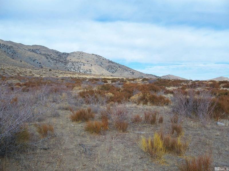 Reno, Washoe County, NV Undeveloped Land for sale Property ID: 413348212