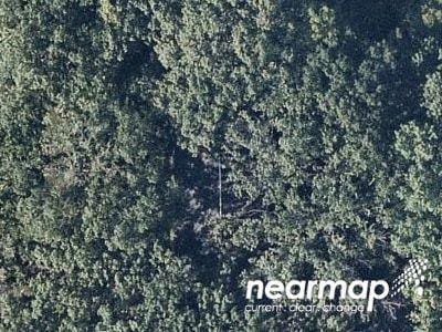 Forest Blvd for Sale