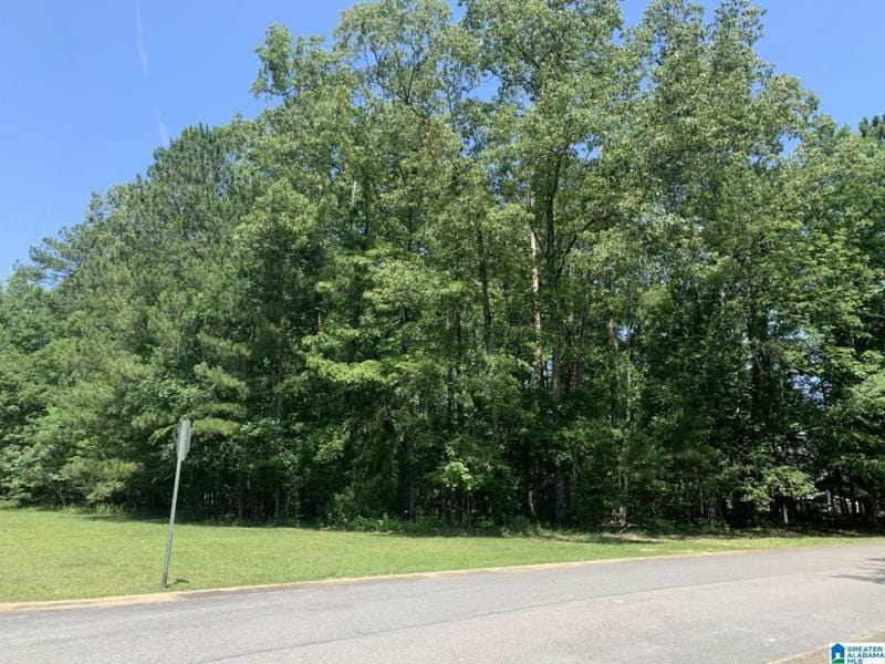 100 ENGLISH LANE # 1, RAINBOW CITY, AL 35906 Land For Sale  MLS# 1358292