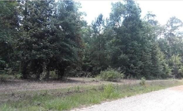 0 Stonehenge Dr, Woodville, TX 75979 - MLS 29425469 for Sale