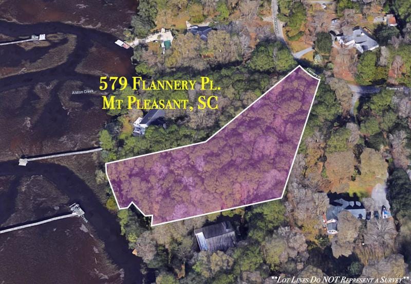 579-1 Flannery Pl, Mount Pleasant, SC 29466 - MLS 24000810 for Sale