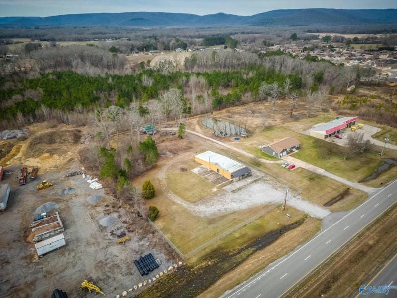 9756 HIGHWAY 431 S, Owens Cross Roads, AL 35763 Business Opportunity For Sale  MLS# 1828068