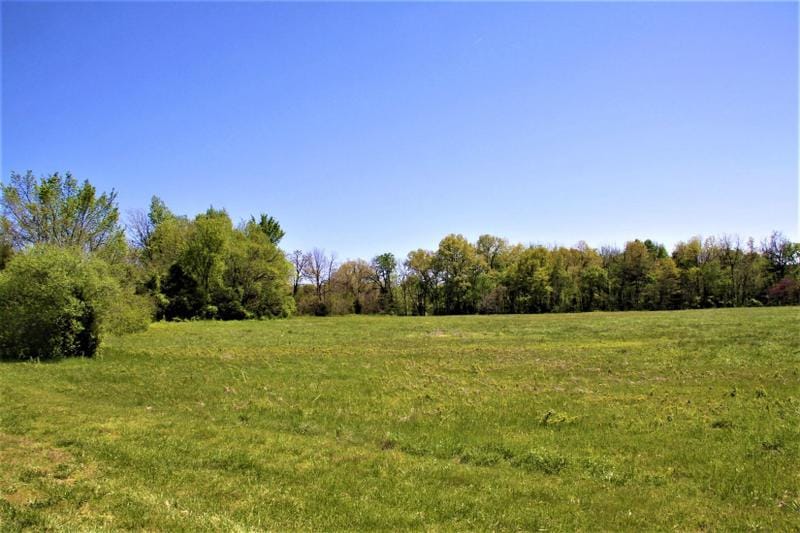 Bellefonte, Boone County, AR Undeveloped Land for sale Property ID: 414649451