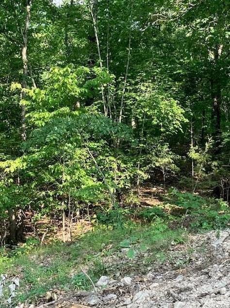 18 Simms Rd, Park Hills, MO 63601 - MLS 23040309 for Sale