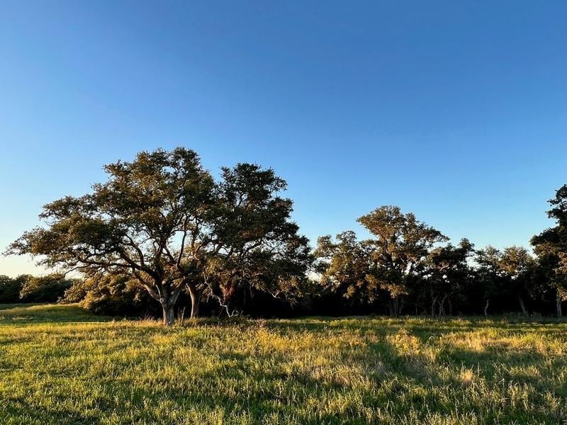 Tract 7 & 8 Roitsch Road, Schulenburg, TX 78956 for Sale