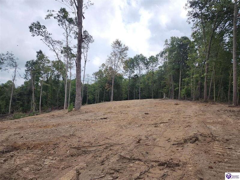 Lot 0 Leitchfield Road, Cecilia, KY 42724  603469268 for Sale
