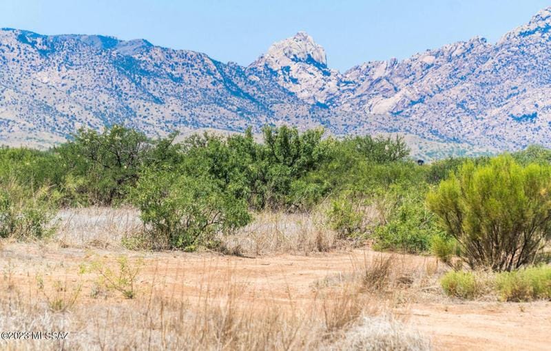 1.66 ACRES E IRENE ST, Pearce, AZ 85625 Land For Sale  MLS# 22314255