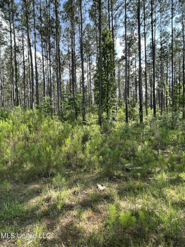 COAL BLUFF ROAD ROAD, Lena, MS 39094 Land For Sale  MLS# 4050214