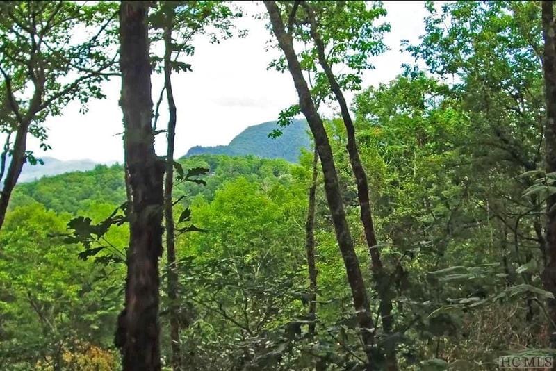 Highlands, Jackson County, NC Undeveloped Land, Homesites for sale Property ID: 415813287