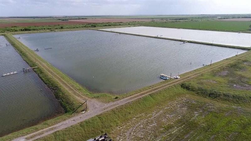 7979 Goyo Garcia Rd, Raymondville, TX 78580 for Sale