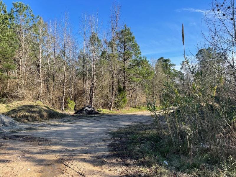 Harleyville, Dorchester County, SC Undeveloped Land for sale Property ID: 418426687