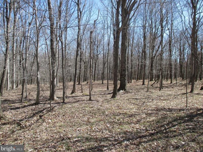 Mt Lakeside Sub Divide Meadows, Mount Storm, WV 26739 - MLS WVGT2000242 for Sale