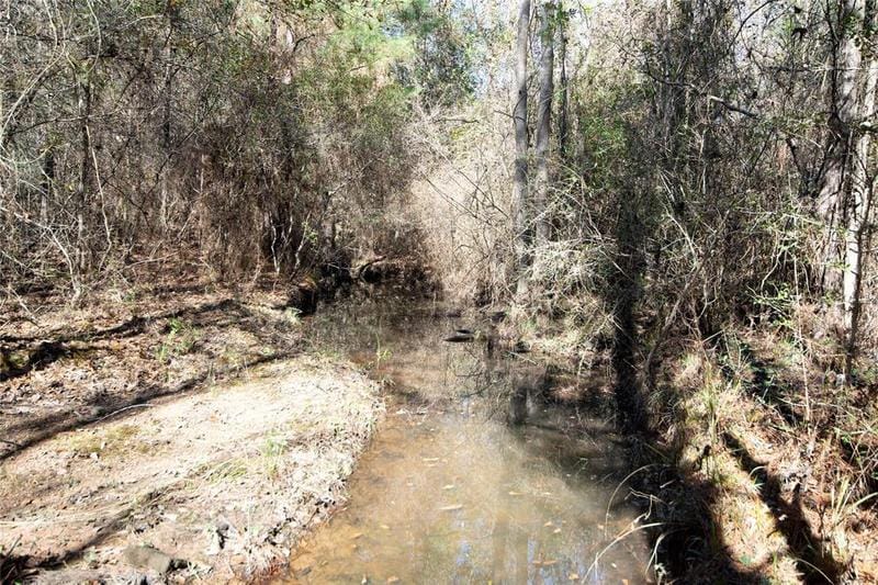 20122 Meadow Lake Rd, Cleveland, TX 77328 for Sale
