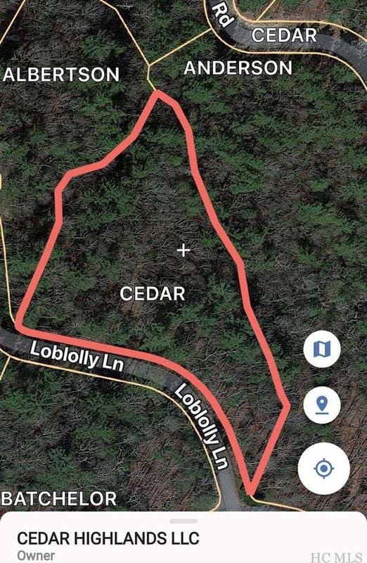 Lot 38 Loblolly Lane, Cashiers, NC 28717  605177041 for Sale