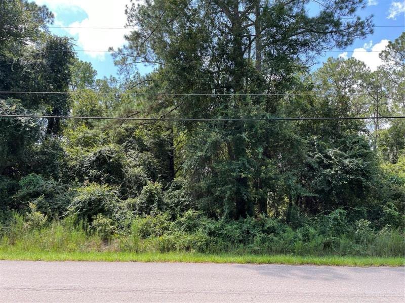 5465 LAREDO ST, KEYSTONE HEIGHTS, FL 32656 Land For Sale  MLS# GC515500