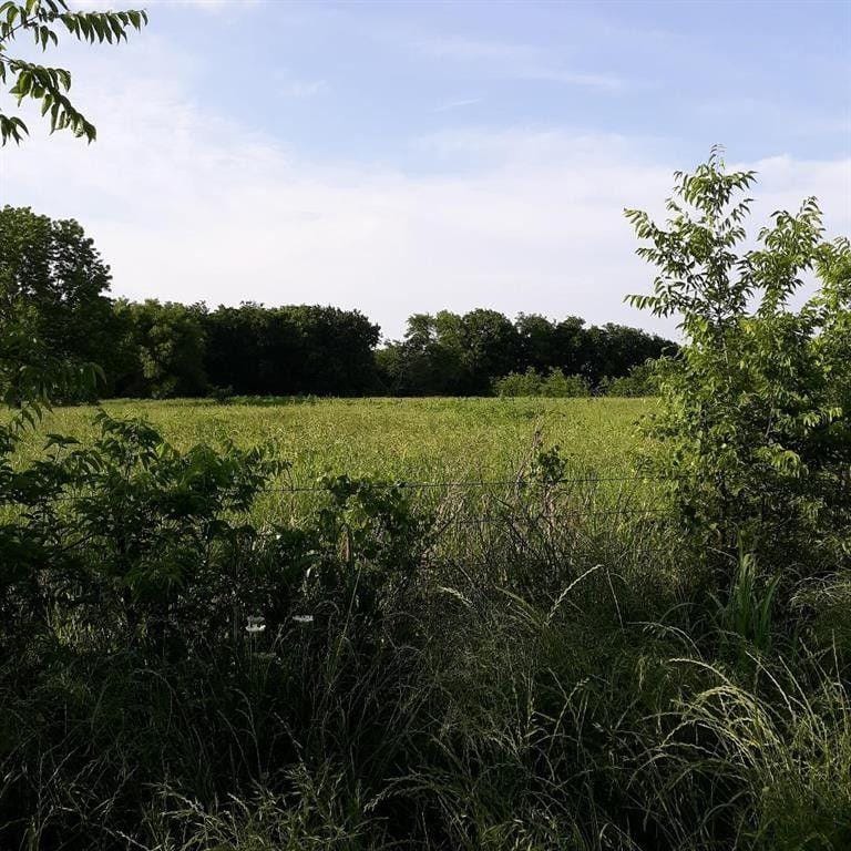 Wolfe City, Fannin County, TX Undeveloped Land, Homesites for sale Property ID: 416598453