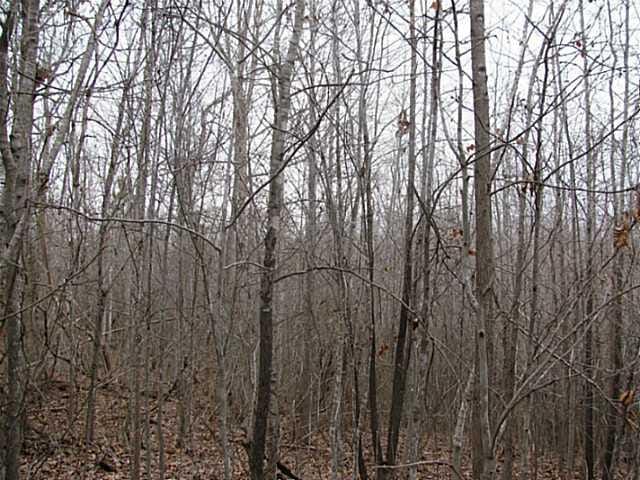 0 Mccullough Road, Morris Chapel, TN 38361 for Sale