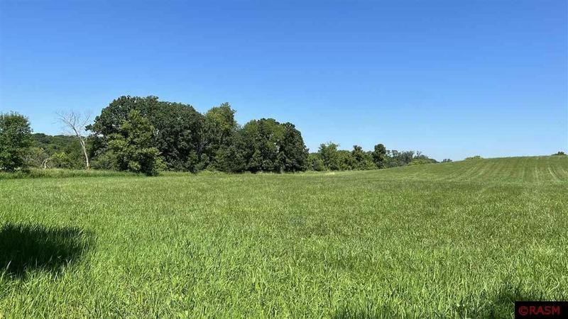 TBD 241ST AVENUE, Elysian, MN 56028 Land For Sale  MLS# 7028877