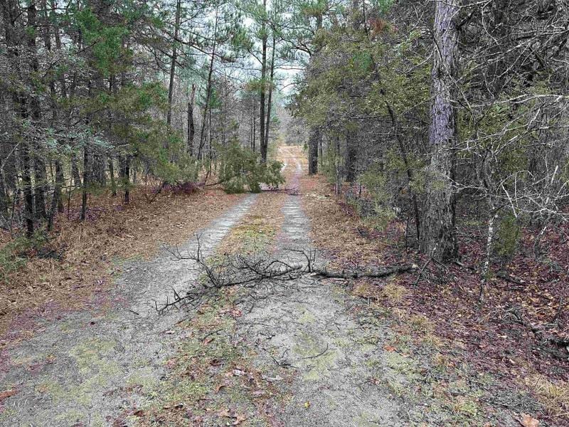 Bismarck, Hot Spring County, AR Undeveloped Land for sale Property ID: 418690262
