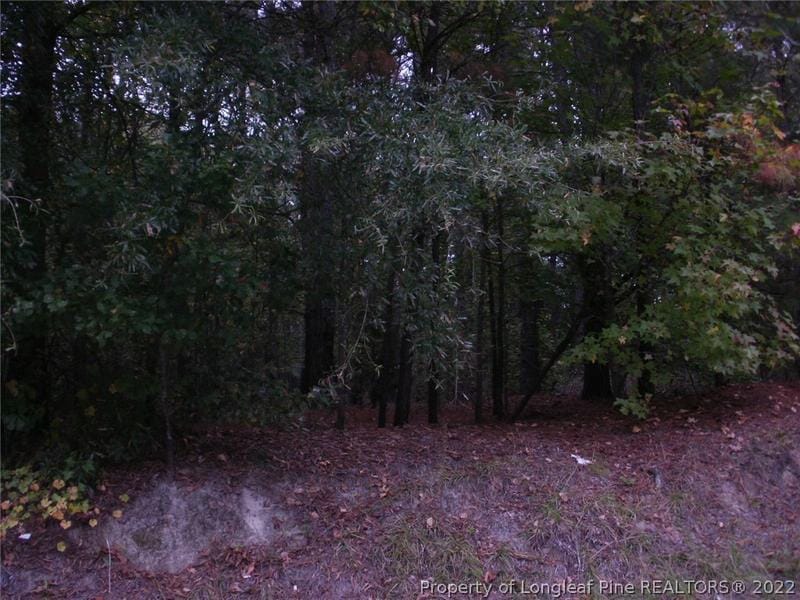 8 Pine State Street, Lillington, NC 27546 for Sale