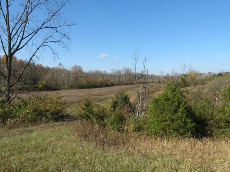 0 STATE ROUTE 247, Hillsboro, OH 45133 Land For Sale  MLS# 1788830