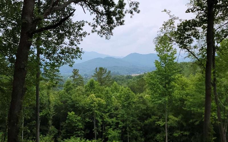 Hayesville, Clay County, NC for sale Property ID: 416959787