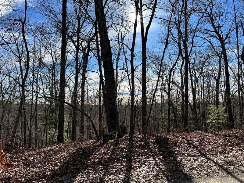 Mccaysville, Fannin County, GA Undeveloped Land, Homesites for sale Property ID: 418855823