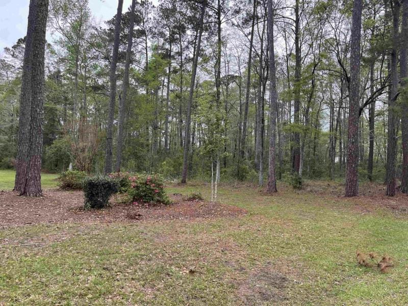 LOT 5 S PERSIMMON FORD RD. Johnsonville, SC 29555 Land For Sale  MLS# 2306003