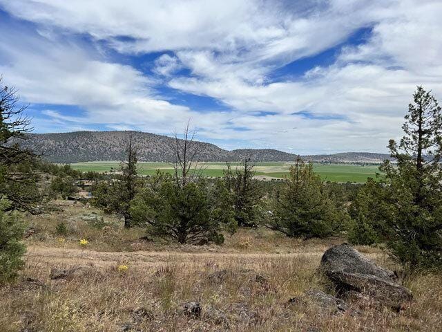 Dorris, Siskiyou County, CA Undeveloped Land, Homesites for sale Property ID: 418065586